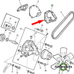 R55405 - JUNTA BOMBA AGUA S4050 JOHN DEERE