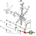 Z56958 - PUA MOLINET CUT