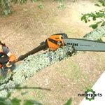 5157233 - MOTOSIERRA SELION TELESCÓPICA T175-225 EVO PELLENC