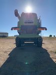 COSECHADORA CLAAS 520