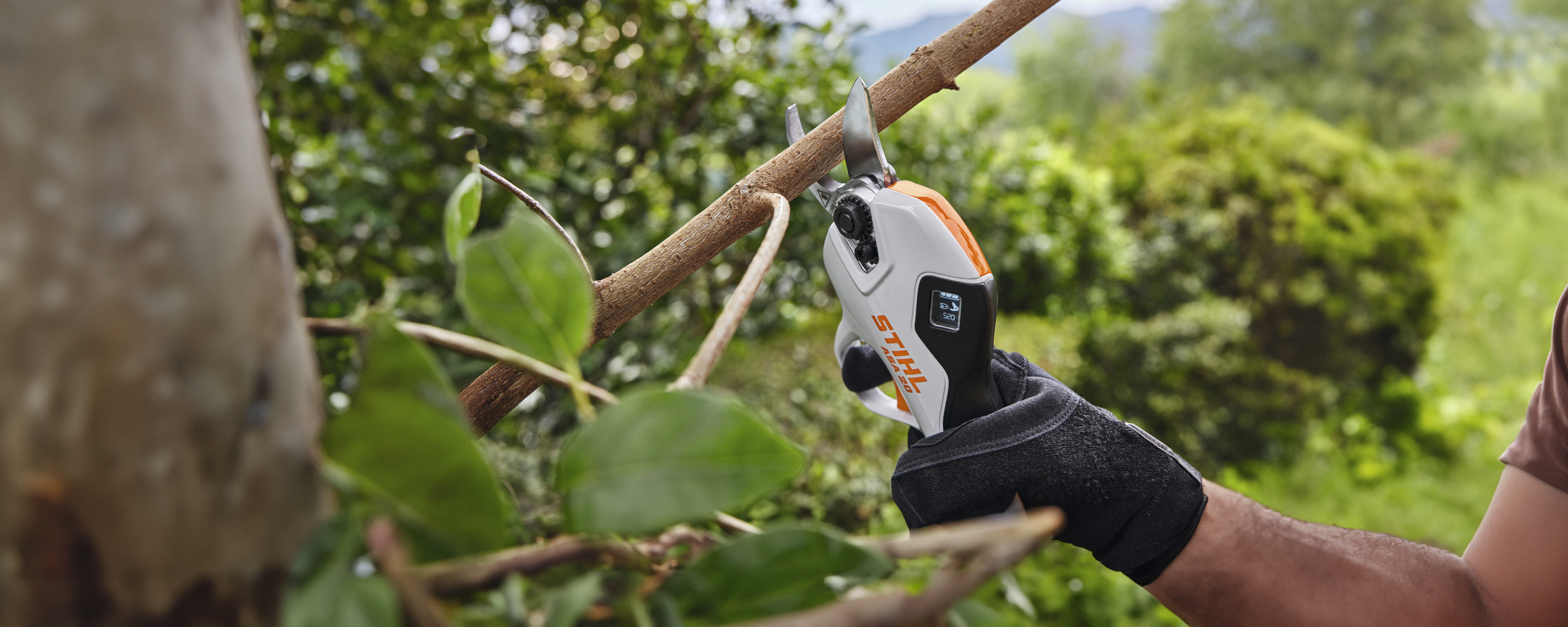 stihl-banner